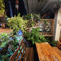  at Rad Rabbit in Chiang Mai