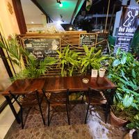  at Rad Rabbit in Chiang Mai