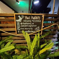  at Rad Rabbit in Chiang Mai