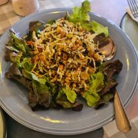 Leaf tea salad at Rad Rabbit in Chiang Mai