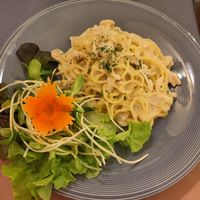  at Rad Rabbit in Chiang Mai