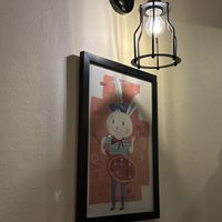   at Rad Rabbit in Chiang Mai