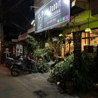   at Rad Rabbit in Chiang Mai