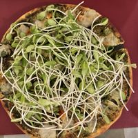   at Rad Rabbit in Chiang Mai