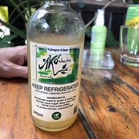 ginger lime kombucha   at Rad Rabbit in Chiang Mai