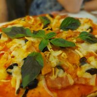  at Rad Rabbit in Chiang Mai