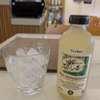 Lychee Kombucha at Rad Rabbit in Chiang Mai