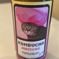   at Rad Rabbit in Chiang Mai