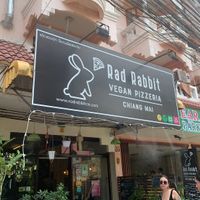   at Rad Rabbit in Chiang Mai
