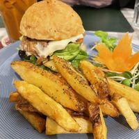   at Rad Rabbit in Chiang Mai