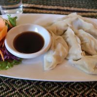 Steamed Gyoza at Rad Rabbit in Chiang Mai