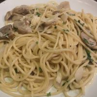 Coconut Alfredo 🥥 at Rad Rabbit in Chiang Mai