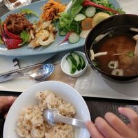 vegetable burger at Vegetable Cafe Lyra in Sapporo