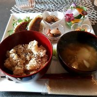 Gyozas at Vegetable Cafe Lyra in Sapporo