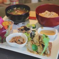 Lunch gyoza set at Vegetable Cafe Lyra in Sapporo
