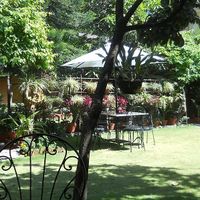 Garden at Rabsel Garden Cafe at Shechen Monastery in Kathmandu