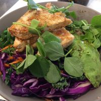 Tofu poké bowl at The Grazing Goat Cafe in Mackay
