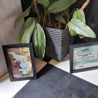  at Rainbow Cafe in Ella