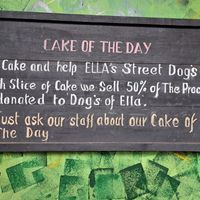 Lekker eten en de zwerfhonden steunen  #Veganuary at Rainbow Cafe in Ella