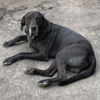 Such a character!  at Rainbow Cafe in Ella