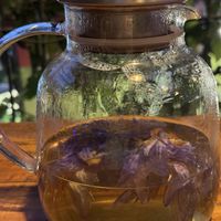 Blue Lotus Tea  at Rainbow Cafe in Ella