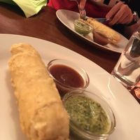 Veg roll at Veggie & Vega - Restaurant in Berlin