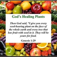 Fruit is King at The Juice Standard - S Las Vegas in Las Vegas