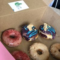 🍩 at Misfit Doughnuts & Treats in Rochester