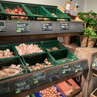  at Farm - Ixelles in Brussels