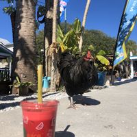 Beetnick juice !!! at GoJuice in New Smyrna Beach