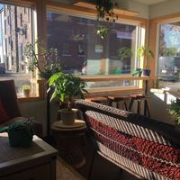Bright and comfortable  at Juice Pharm in Duluth