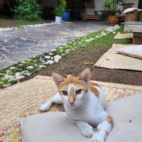  at Seva Table in Dubai