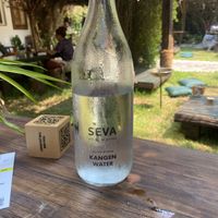 Kangen water  at Seva Table in Dubai