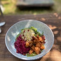 Superfood salad  at Seva Table in Dubai