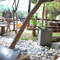  at Seva Table in Dubai