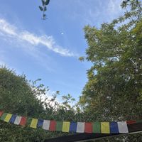   at Seva Table in Dubai