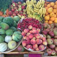 organic fruits & veggies at Boerenmarkt op de Noordermarkt in Amsterdam
