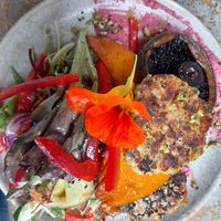 Nourish bowl on a plate! at Garden Grub Cafe in Wingham