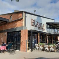 Plant 4 at PingAn Veggie Time in Bowden