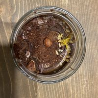   at Tökmag Vegan Street Food in Budapest