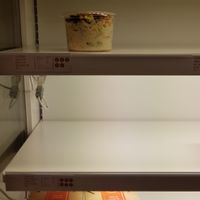  at Tökmag Vegan Street Food in Budapest