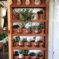 Too cute!  at Tökmag Vegan Street Food in Budapest