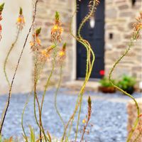 Entrance. at Planted - Vegan Self-Catering Studio in St Agnes