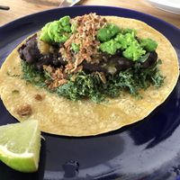 Taco with Black Beans and Guacamole/Kale at The Mexican - Port Douglas in Port Douglas