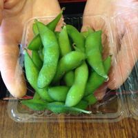 Fresh steamed & salted edamame, very tasty!  at Ten Koo in Armidale