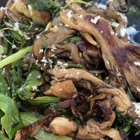 Oyster mushrooms   at Bana in Tel Aviv