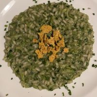  at Vegan Agrivilla I Pini in San Gimignano