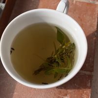  at Vegan Agrivilla I Pini in San Gimignano