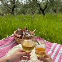  at Vegan Agrivilla I Pini in San Gimignano