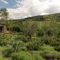  at Vegan Agrivilla I Pini in San Gimignano
